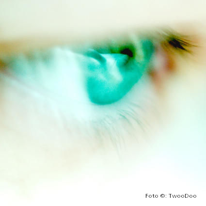TwooDoo - Auge in Nahaufnahme